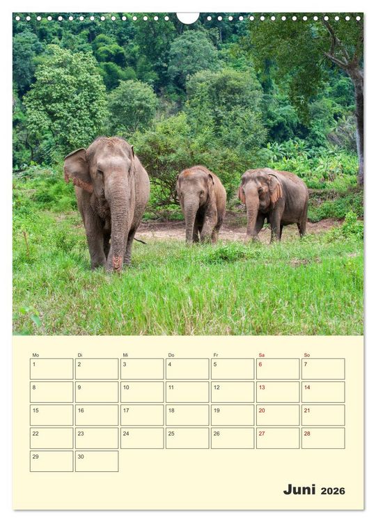 Produktbild: ELEFANTEN - Asiens graue Riesen (Wandkalender 2026 DIN A3 hoch), CALVENDO Monatskalender