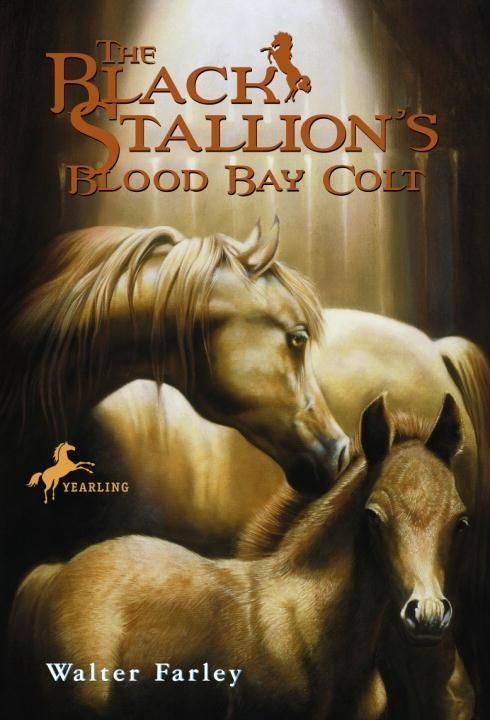 Produktbild: The Black Stallion's Blood Bay Colt