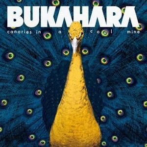 Produktbild: Canaries In A Coal Mine