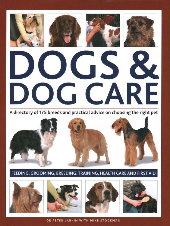 Produktbild: Dogs & Dog Care