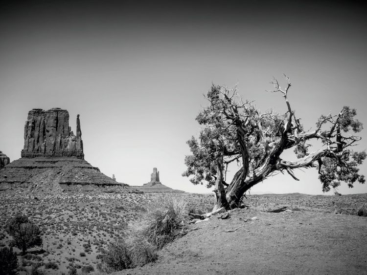 Produktbild: CALVENDO Puzzle MONUMENT VALLEY West Mitten Butte und Baum | 1000 Teile Lege-Gr&ouml;&szlig;e 64x48cm Foto-Puzzle f&uuml;r gl&uuml;ckliche Stunden