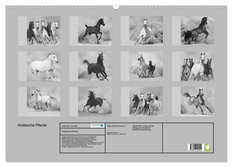 Produktbild: Arabische Pferde (Wandkalender 2026 DIN A2 quer), CALVENDO Monatskalender