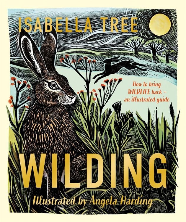 Produktbild: Wilding: How to Bring Wildlife Back - an Illustrated Guide