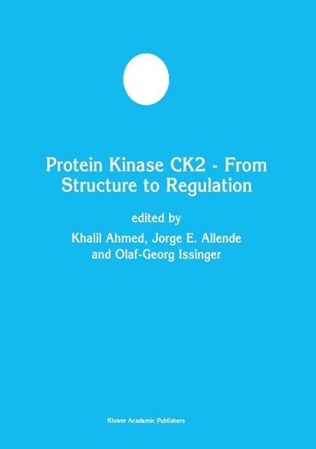 Produktbild: Protein Kinase CK2 - From Structure to Regulation