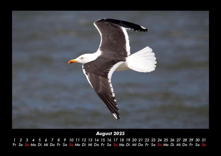 Produktbild: Vogelparadies 2025 Fotokalender DIN A3