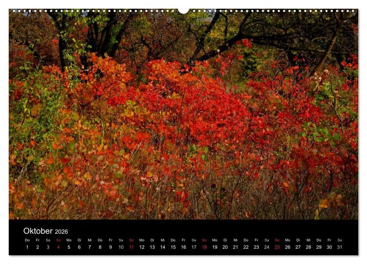 Produktbild: Donaudelta (Wandkalender 2026 DIN A2 quer), CALVENDO Monatskalender