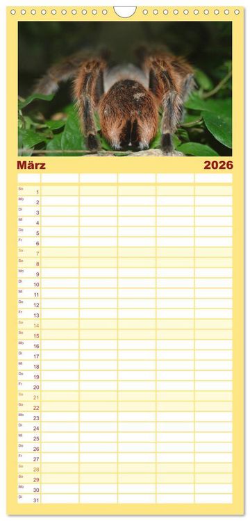 Produktbild: Familienplaner 2026 - Vogelspinnen mit 5 Spalten (Wandkalender, 21 x 45 cm) CALVENDO