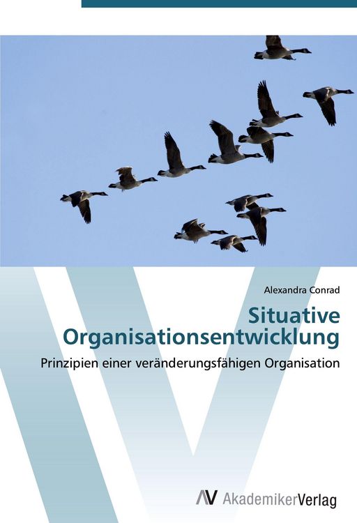 Produktbild: Situative Organisationsentwicklung
