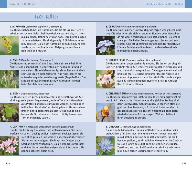 Produktbild: Hom&ouml;opathie f&uuml;r Hunde