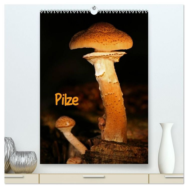 Produktbild: Pilze (hochwertiger Premium Wandkalender 2027 DIN A2 hoch), Kunstdruck in Hochglanz