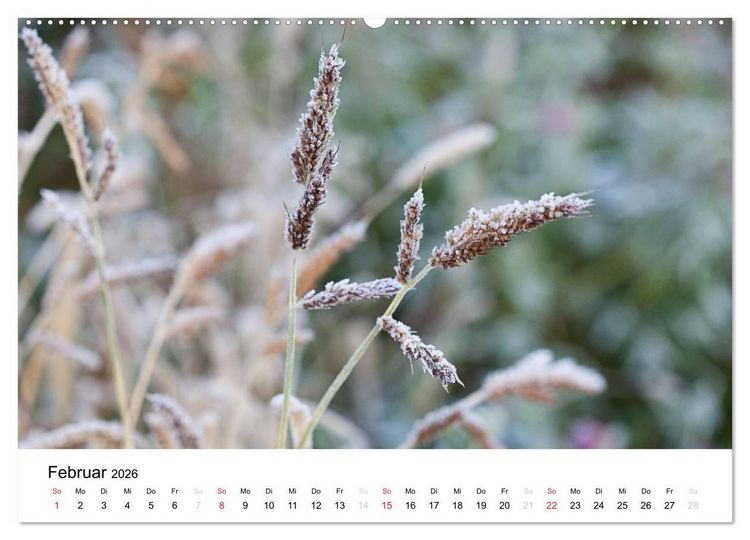 Produktbild: Mein Jahr im Landhausgarten (Wandkalender 2026 DIN A2 quer), CALVENDO Monatskalender