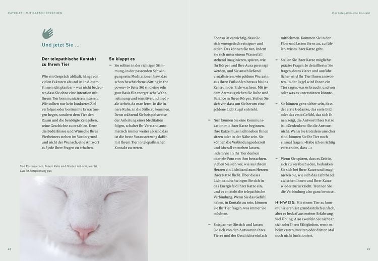 Produktbild: Was will mir meine Katze sagen?