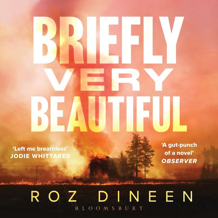Produktbild: Briefly Very Beautiful