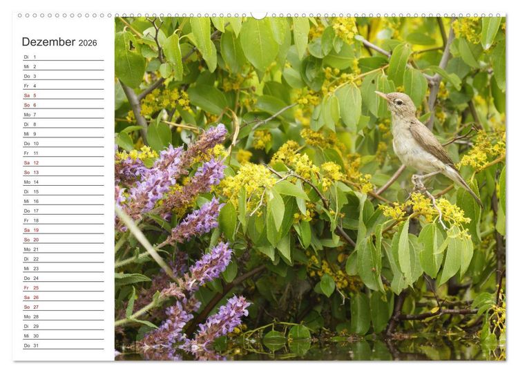 Produktbild: Faszinierendes Bulgarien (Wandkalender 2026 DIN A2 quer), CALVENDO Monatskalender