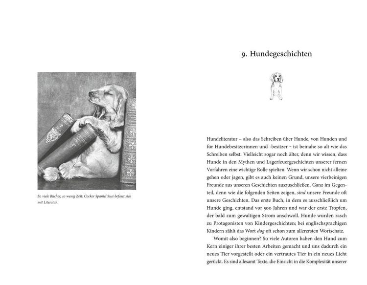 Produktbild: Des Hundes bester Freund