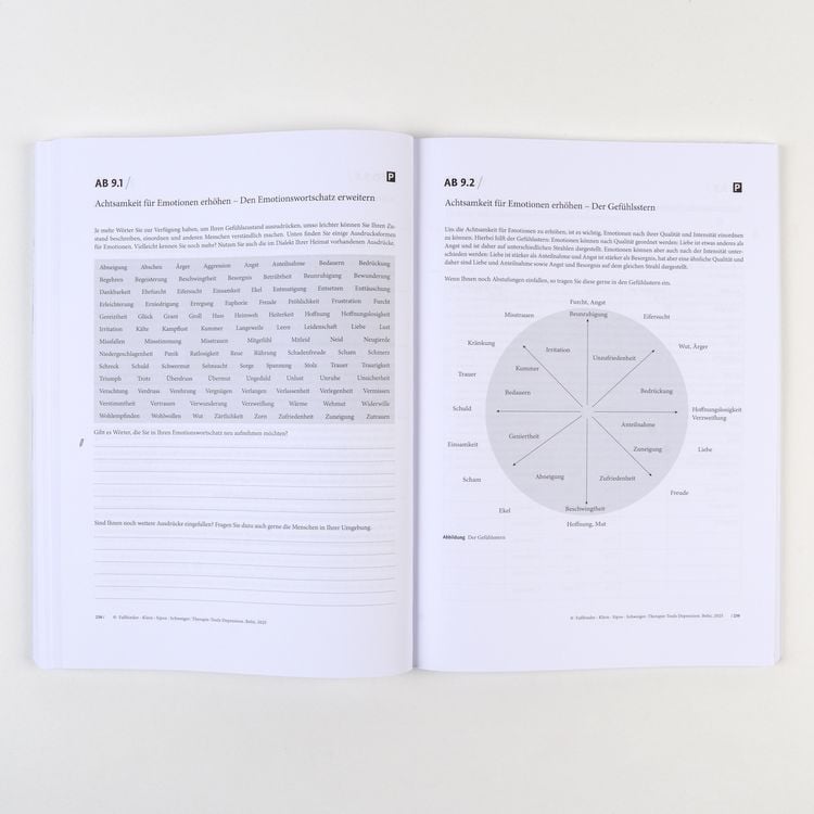 Produktbild: Therapie-Tools Depression
