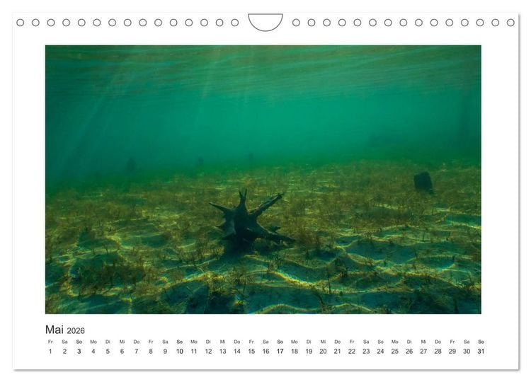 Produktbild: Unter Wasser in B&auml;chen und Fl&uuml;ssen (Wandkalender 2026 DIN A4 quer), CALVENDO Monatskalender