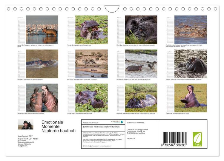 Produktbild: Emotionale Momente: Nilpferde hautnah (Wandkalender 2026 DIN A4 quer), CALVENDO Monatskalender