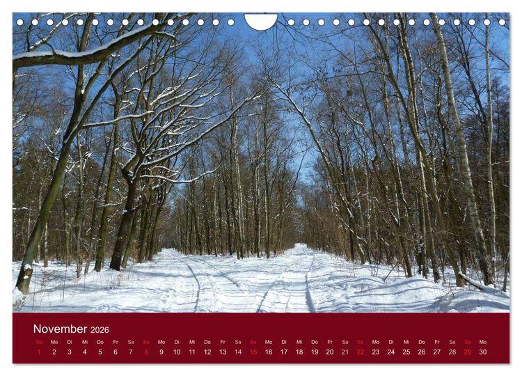 Produktbild: Falkensee - Das Tor zum Havelland (Wandkalender 2026 DIN A4 quer), CALVENDO Monatskalender