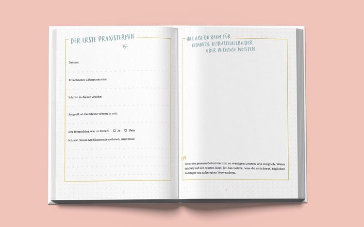 Produktbild: Das andere Schwangerschaftstagebuch (Punkte-Edition)
