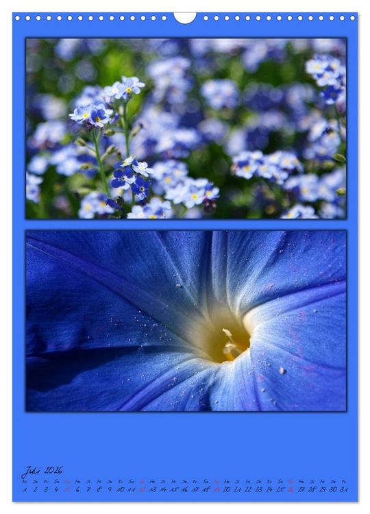 Produktbild: Farbtupferl der Natur (Wandkalender 2026 DIN A3 hoch), CALVENDO Monatskalender