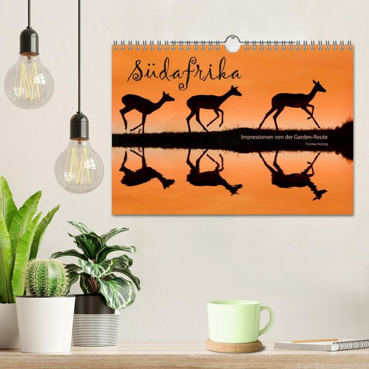 Produktbild: S&Uuml;DAFRIKA - Impressionen von der Garden Route (Wandkalender 2026 DIN A4 quer), CALVENDO Monatskalender
