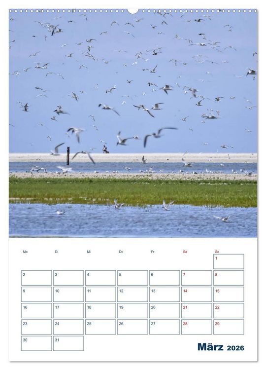 Produktbild: Texel - Momente die verzaubern (Wandkalender 2026 DIN A2 hoch), CALVENDO Monatskalender
