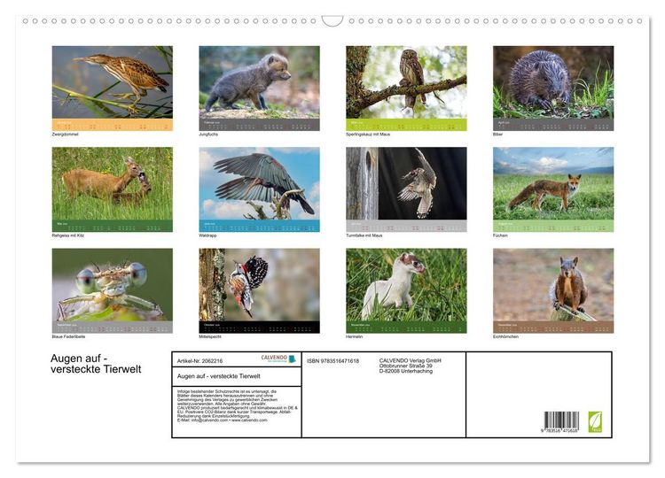 Produktbild: Augen auf - versteckte Tierwelt (Wandkalender 2026 DIN A2 quer), CALVENDO Monatskalender