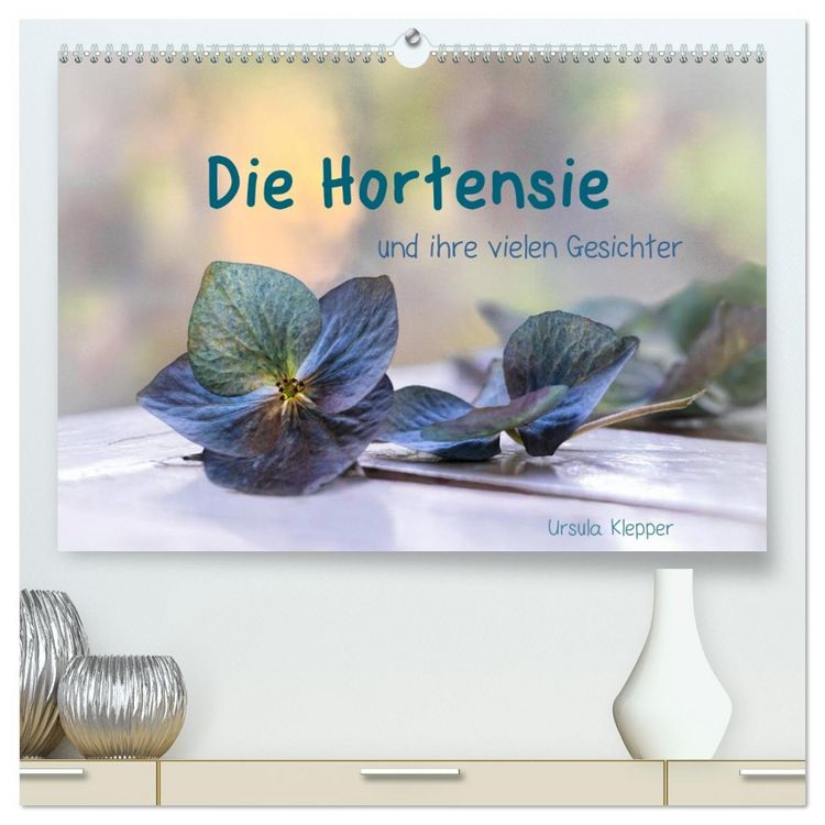 Produktbild: Die Hortensie und ihre vielen Gesichter (hochwertiger Premium Wandkalender 2026 DIN A2 quer), Kunstdruck in Hochglanz