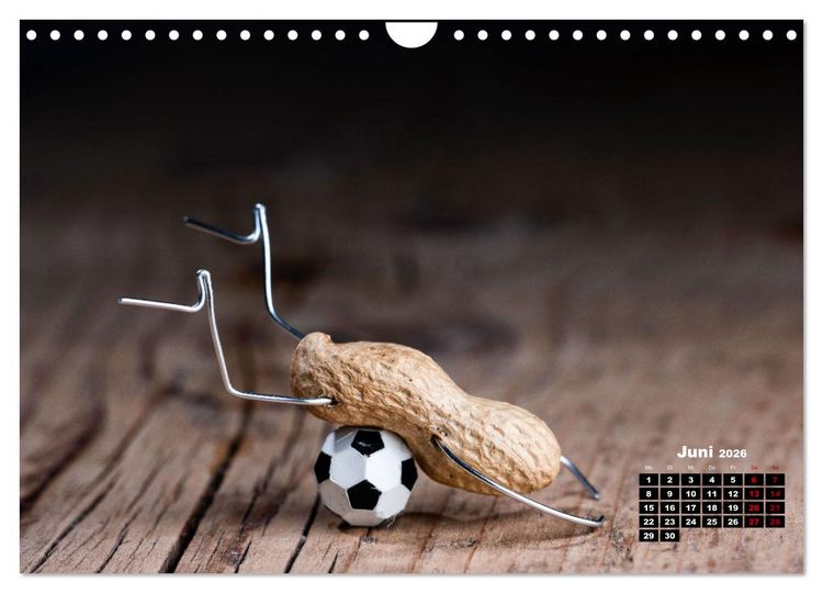 Produktbild: Erdnussm&auml;nnchen Geschichten. (Wandkalender 2026 DIN A4 quer), CALVENDO Monatskalender