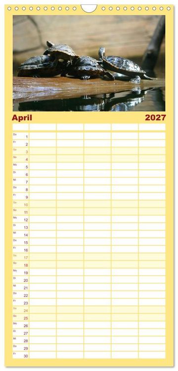 Produktbild: Familienplaner 2027 - Schildkr&ouml;ten - Gepanzerte Urzeitwesen mit 5 Spalten (Wandkalender, 21 x 45 cm) CALVENDO