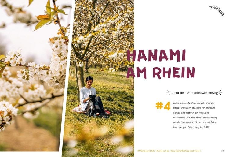 Produktbild: 52 kleine & gro&szlig;e Eskapaden am Mittelrhein