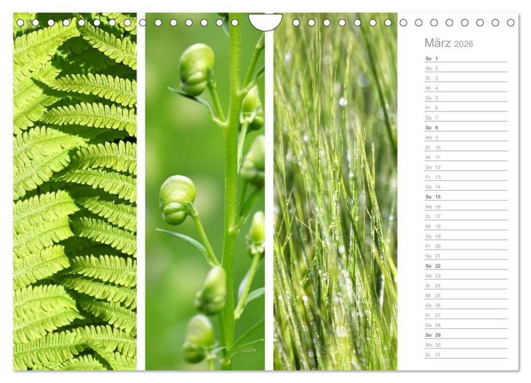 Produktbild: Nat&uuml;rlicher Dreiklang (Wandkalender 2026 DIN A4 quer), CALVENDO Monatskalender
