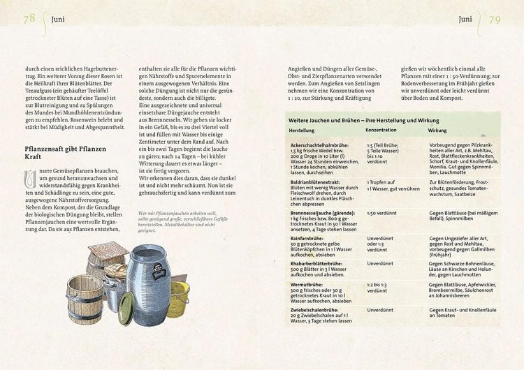 Produktbild: Geheimnisse aus dem Klostergarten