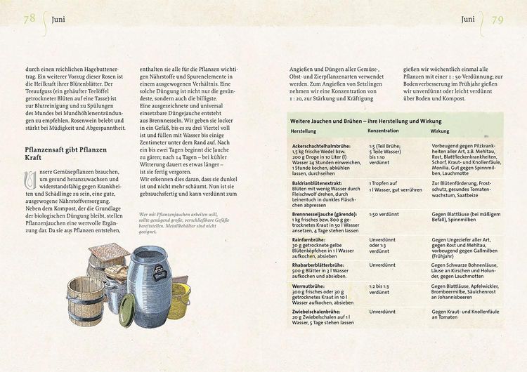 Produktbild: Geheimnisse aus dem Klostergarten