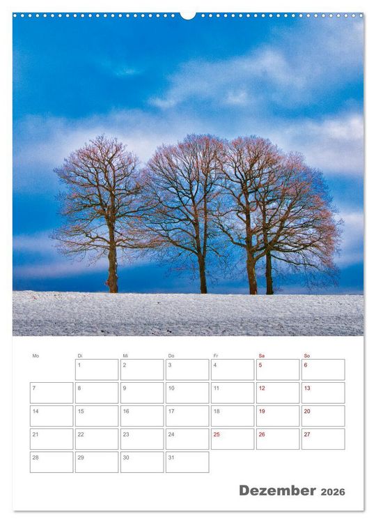 Produktbild: Planen mit dem Symbol der inneren St&auml;rke (Wandkalender 2026 DIN A2 hoch), CALVENDO Monatskalender