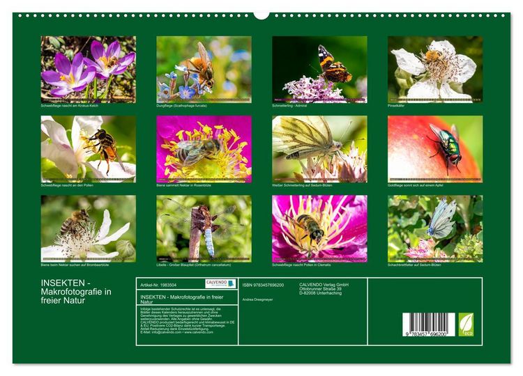 Produktbild: INSEKTEN - Makrofotografie in freier Natur (hochwertiger Premium Wandkalender 2026 DIN A2 quer), Kunstdruck in Hochglanz