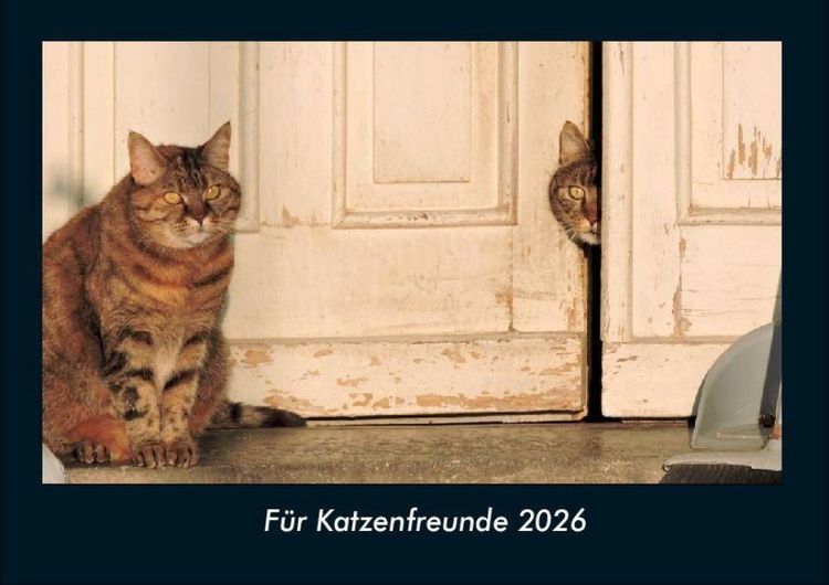 Produktbild: F&uuml;r Katzenfreunde 2026 Fotokalender DIN A4