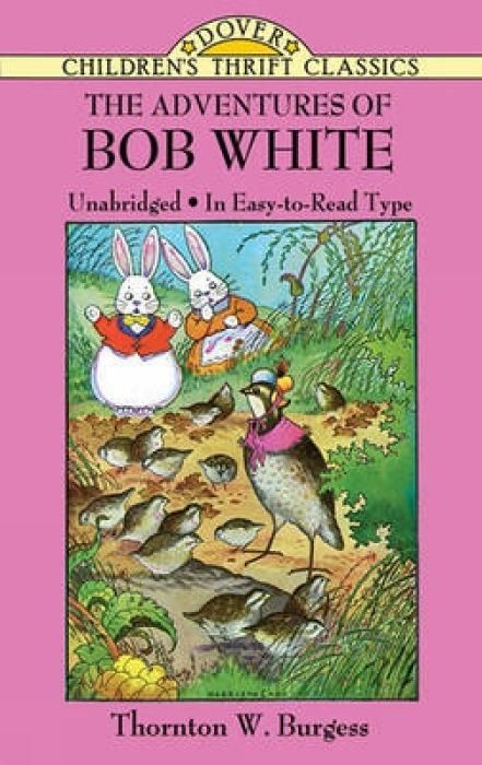 Produktbild: The Adventures of Bob White