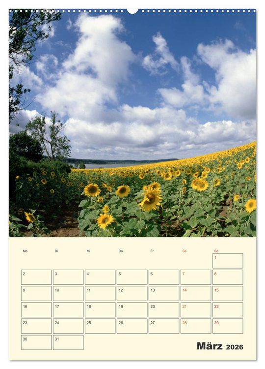 Produktbild: Usedom (Wandkalender 2026 DIN A2 hoch), CALVENDO Monatskalender
