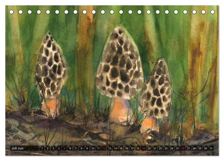 Produktbild: Pilze in Aquarell (Tischkalender 2026 DIN A5 quer), CALVENDO Monatskalender