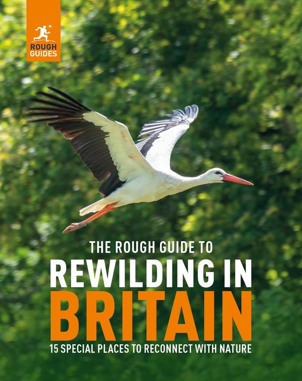 Produktbild: The Rough Guide to Rewilding in Britain
