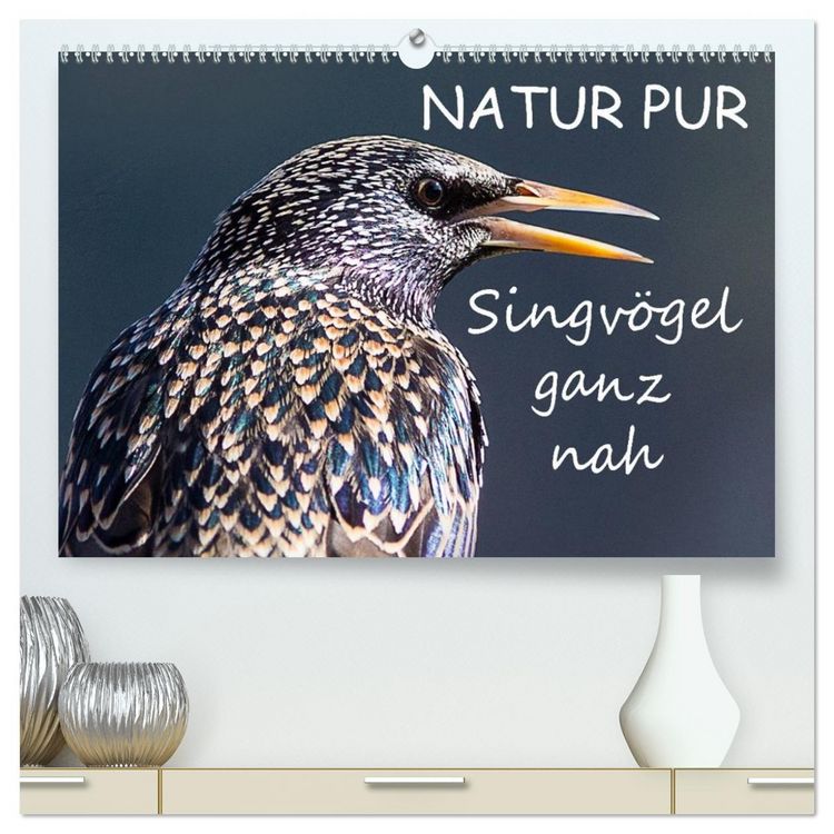Produktbild: NATUR PUR - Singv&ouml;gel ganz nah (hochwertiger Premium Wandkalender 2026 DIN A2 quer), Kunstdruck in Hochglanz