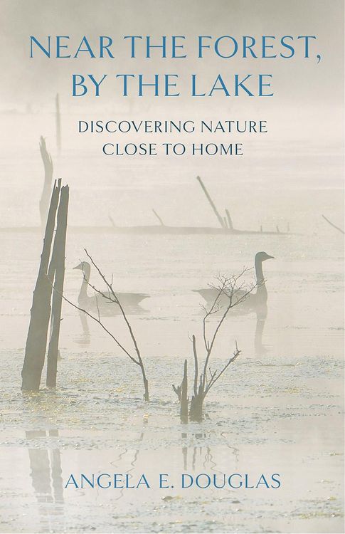 Produktbild: Near the Forest, By the Lake