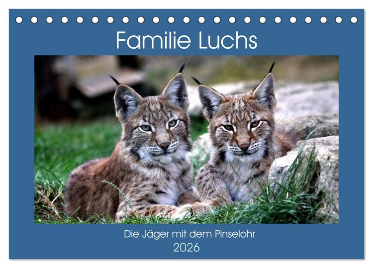 Produktbild: Familie Luchs - Die J&auml;ger mit dem Pinselohr (Tischkalender 2026 DIN A5 quer), CALVENDO Monatskalender