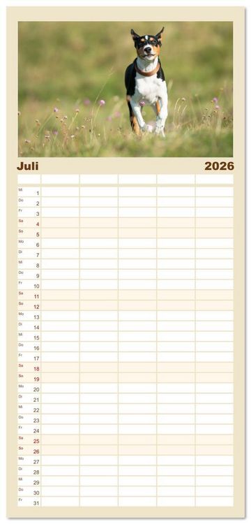 Produktbild: Familienplaner 2026 - Der Basenji mit 5 Spalten (Wandkalender, 21 x 45 cm) CALVENDO
