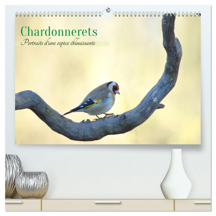 Produktbild: Chardonnerets - Portraits d'une esp&egrave;ce &eacute;blouissante (Calendrier mural 2026 DIN A2 vertical) calendrier de bureau