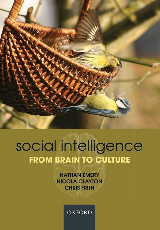 Produktbild: Social Intelligence from Brain to Culture