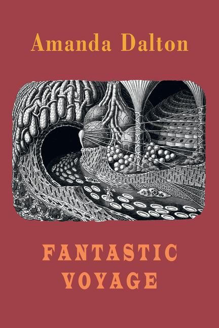 Produktbild: Fantastic Voyage
