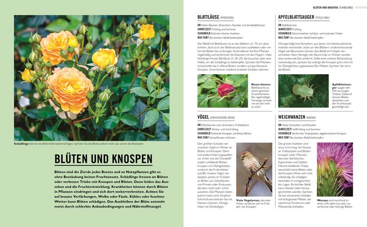 Produktbild: Gr&uuml;nes Gartenwissen. Krankheiten und Sch&auml;dlinge